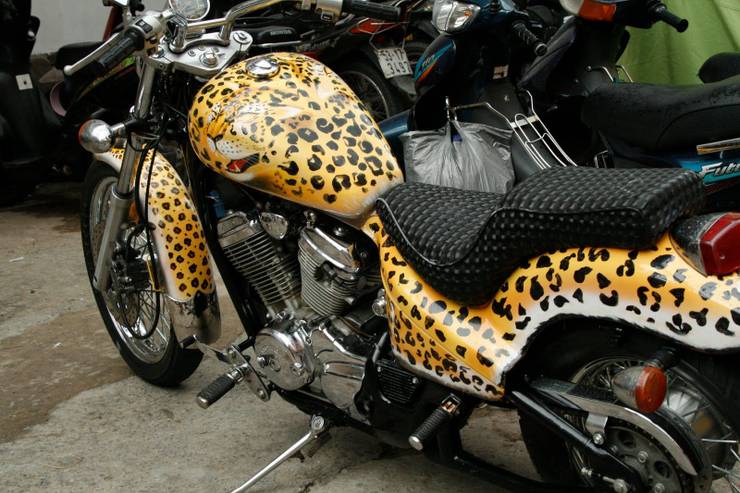 20 Custom Paint Jobs These Motorcycle Owners Likely Regret